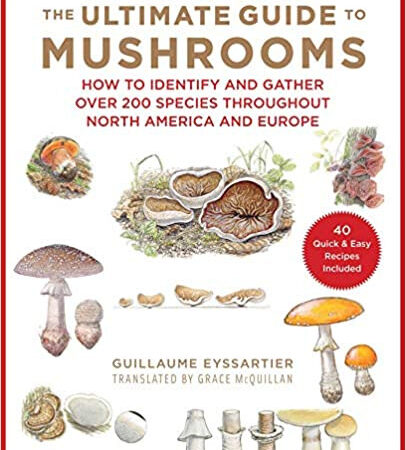 Ultimate Guide to Mushrooms
